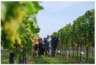 Knowledge and research centre viniculture