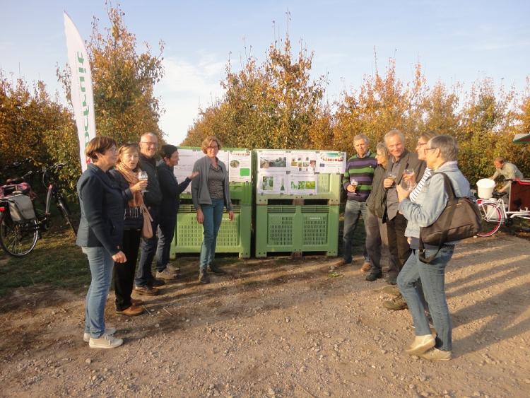 Projecten biologisch pitfruit voorgesteld