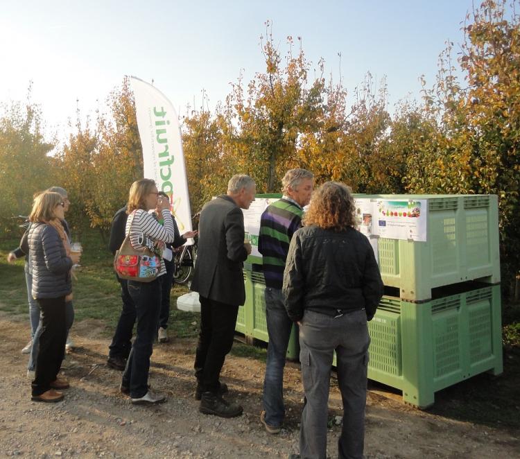 Projecten biologisch pitfruit voorgesteld