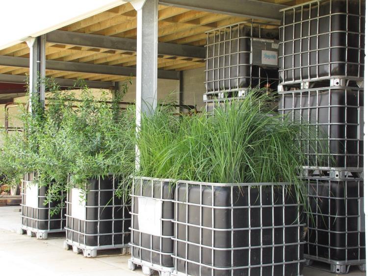 Een biofilter op je bedrijf?