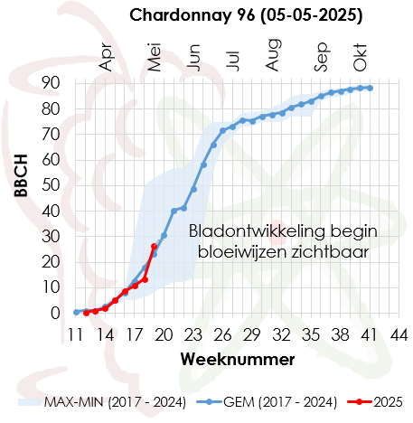 Fenologie wijndruiven
