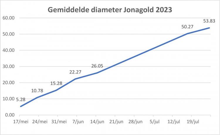 Diameter Jonagold 2023