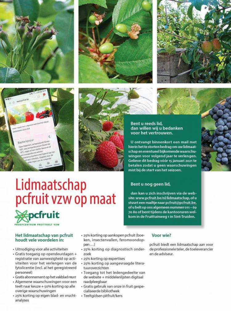 Lidmaatschap