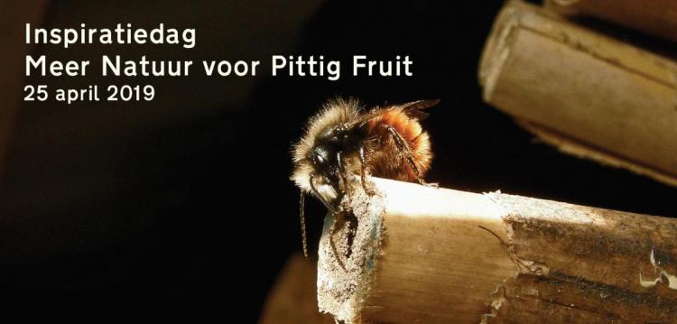 Inspiratiedag 'Meer natuur voor pittig fruit'