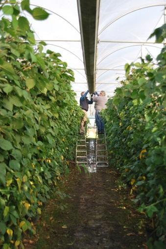 Erosie in de sier- en fruitteelt