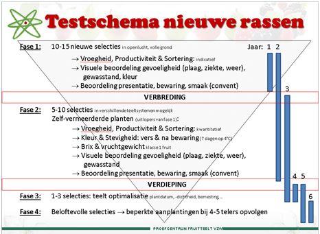 Screenen en testen van nieuwe rassen aardbeien en houtig kleinfruit