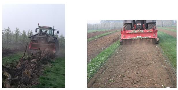 Koolstofcirkels in Haspengouwse land- en tuinbouw