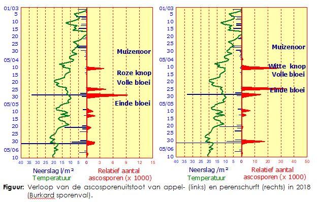 Waarnemingen schimmelziekten in de fruitteelt