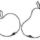 Cursus Geïntegreerde productie pitfruit 2016