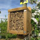 Succesvol project voor meer bestuiving