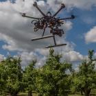 Precisiefruitteelt verder op punt stellen via Europese middelen