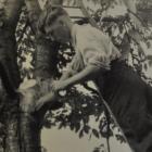 75 jaar fruitonderzoek