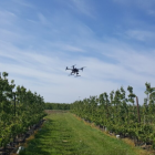 SMART GROWERS - REMOTE SENSING 