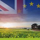 Provincie Limburg organiseert online Agro speakers' corner: landbouw en brexit