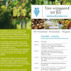 Van wijngaard tot fles